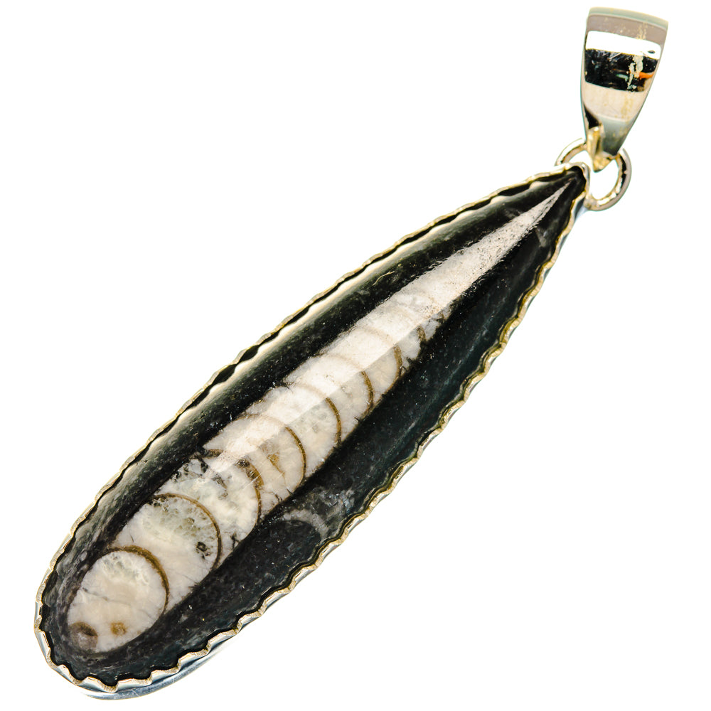 Orthoceras Fossil Pendants handcrafted by Anasilvercos - PD29352 - Photo 2