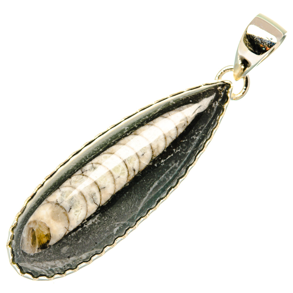 Orthoceras Fossil Pendants handcrafted by Anasilvercos - PD30185 - Photo 2