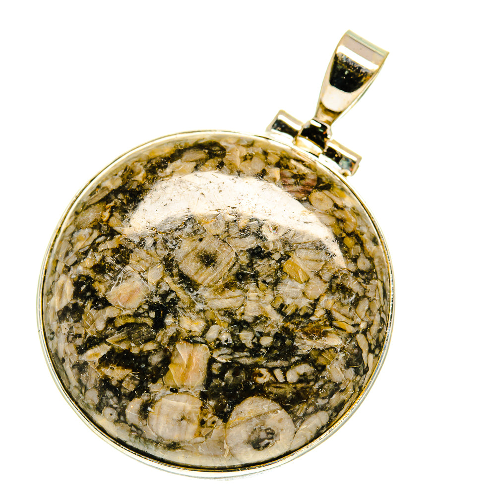 Crinoid Fossil Pendants handcrafted by Anasilvercos - PD3019