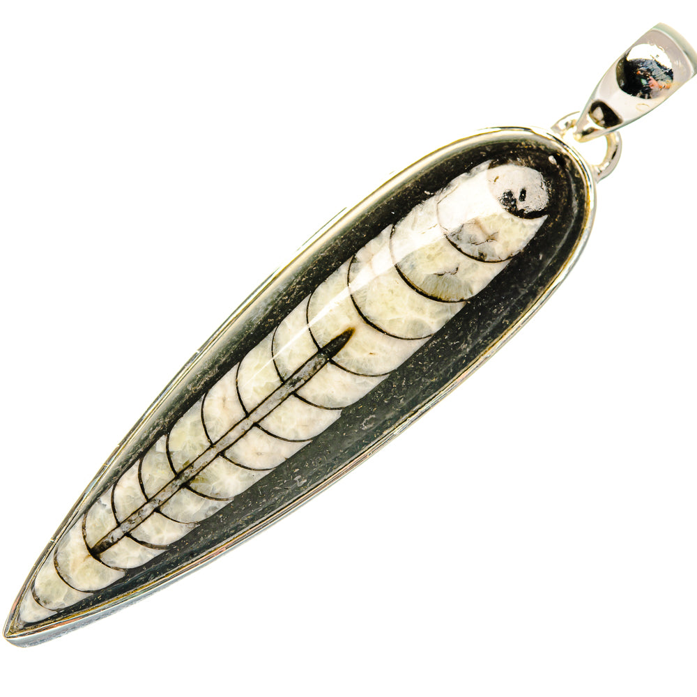 Orthoceras Fossil Pendants handcrafted by Anasilvercos - PD30765 - Photo 2