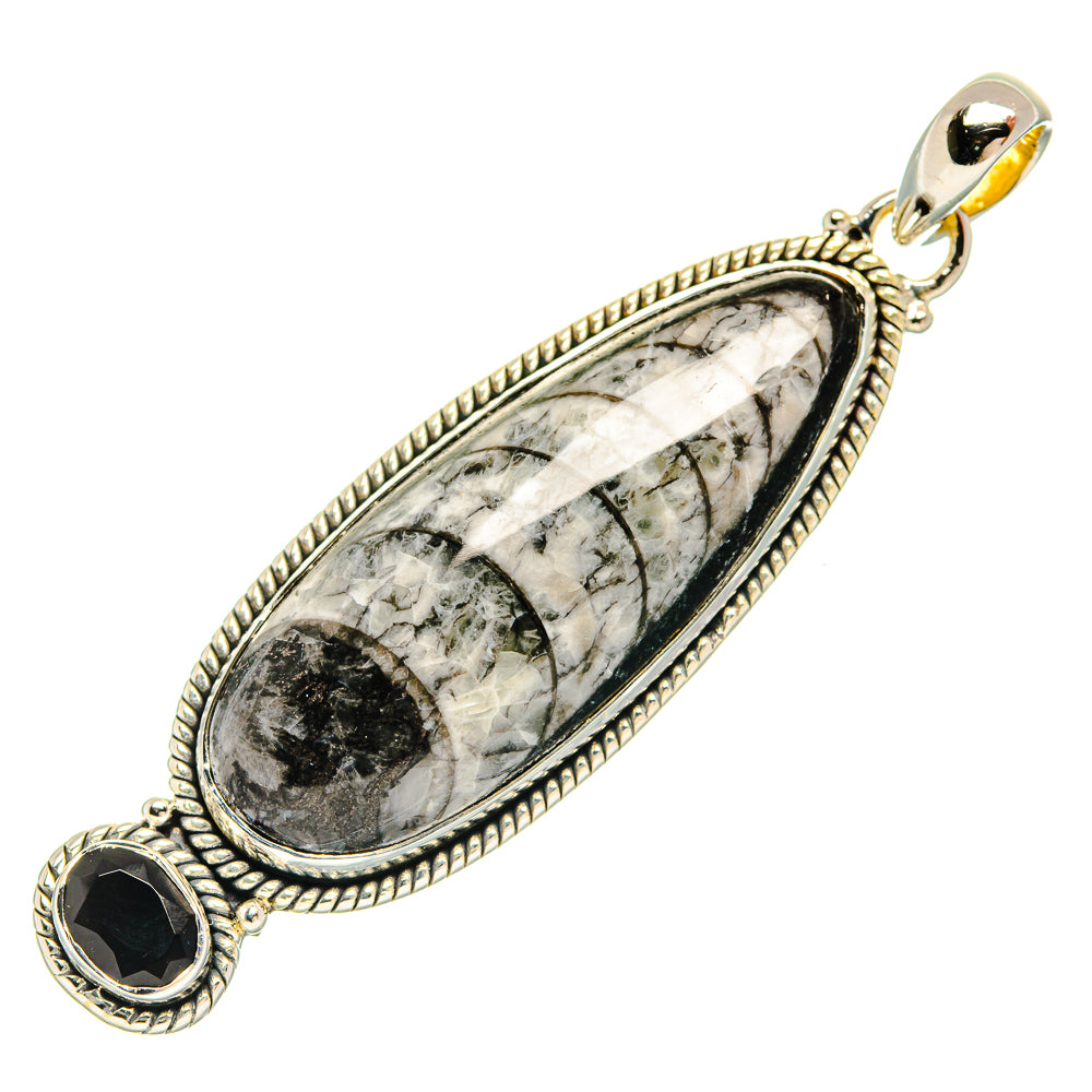 Orthoceras Fossil Pendants handcrafted by Anasilvercos - PD31481 - Photo 2