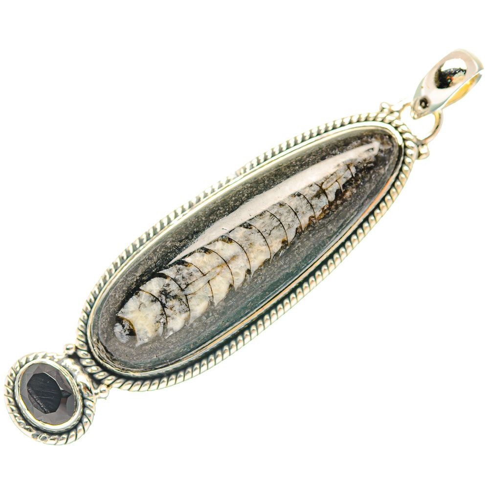 Orthoceras Fossil Pendants handcrafted by Anasilvercos - PD31855 - Photo 2