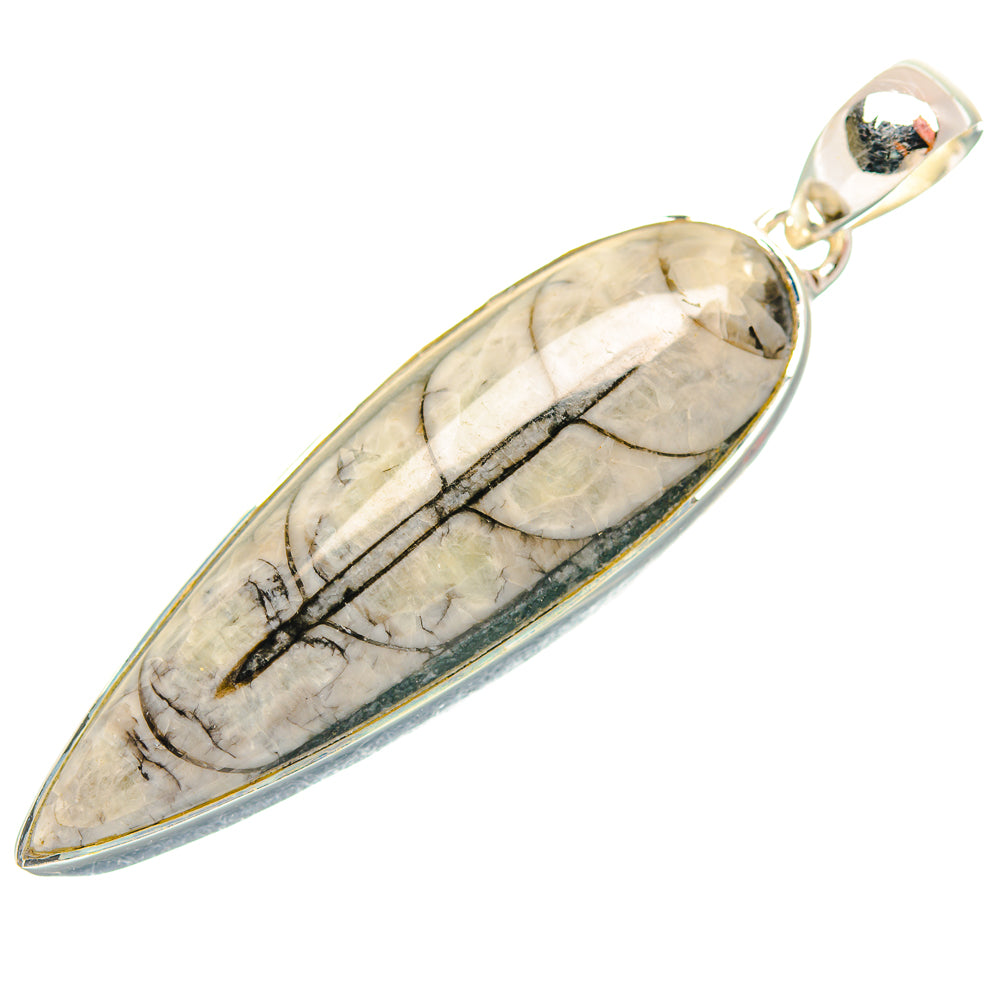 Orthoceras Fossil Pendants handcrafted by Anasilvercos - PD31945 - Photo 2