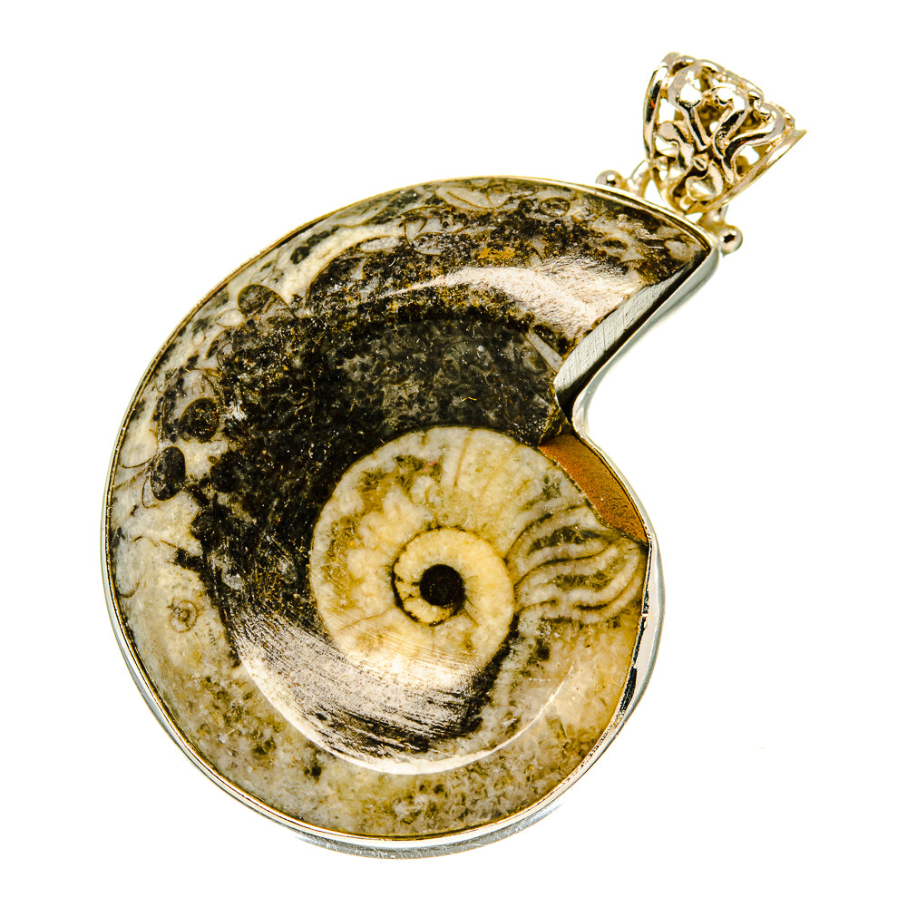 Orthoceras Fossil Pendants handcrafted by Anasilvercos - PD3230