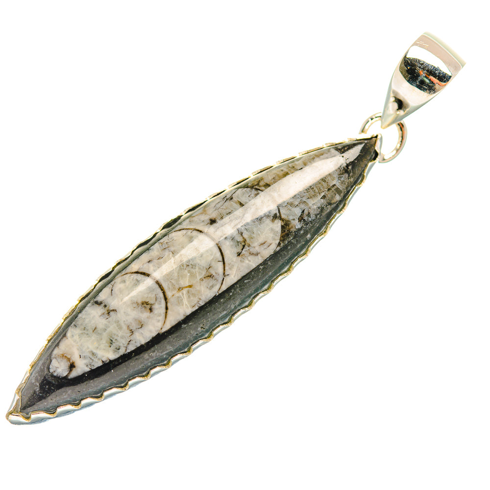 Orthoceras Fossil Pendants handcrafted by Anasilvercos - PD32396 - Photo 2
