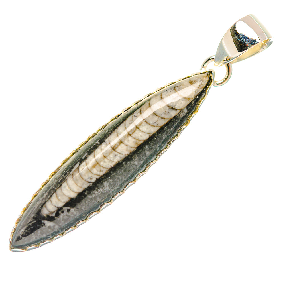 Orthoceras Fossil Pendants handcrafted by Anasilvercos - PD32397 - Photo 2