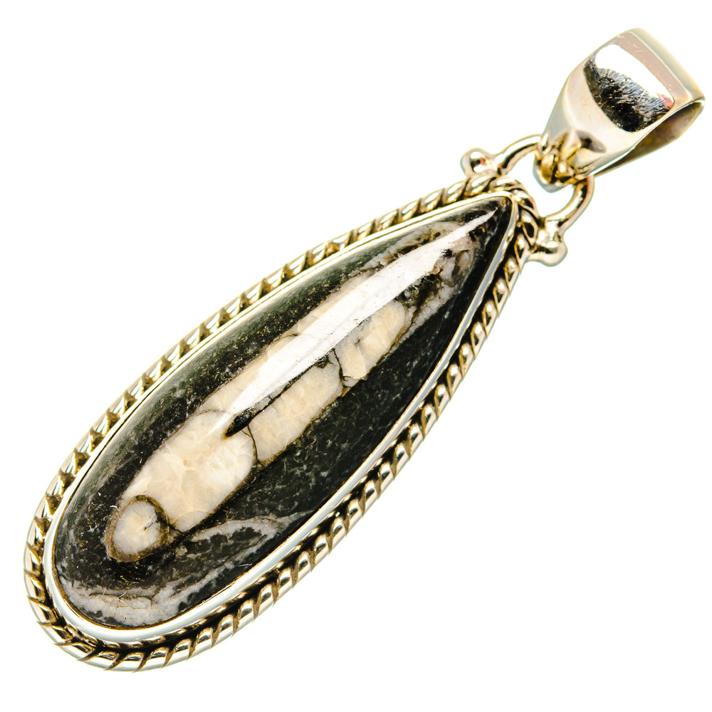 Orthoceras Fossil Pendants handcrafted by Anasilvercos - PD34373 - Photo 2