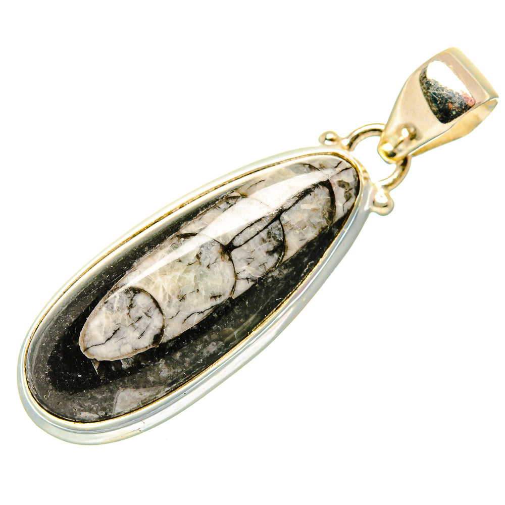 Orthoceras Fossil Pendants handcrafted by Anasilvercos - PD34454 - Photo 2