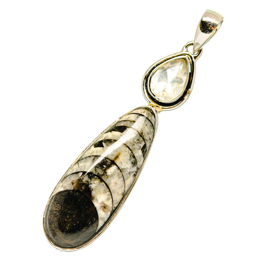 Orthoceras Fossil Pendants handcrafted by Anasilvercos - PD4219