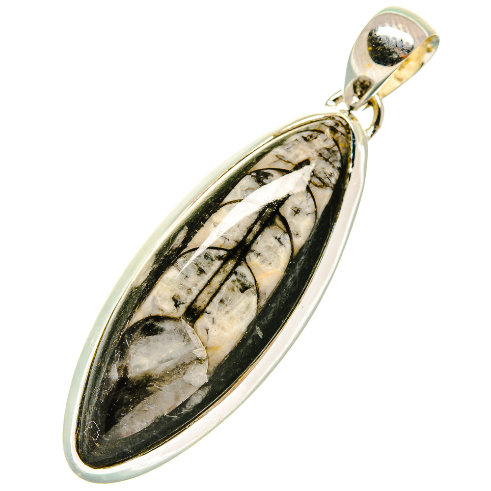 Orthoceras Fossil Pendants handcrafted by Anasilvercos - PD4220
