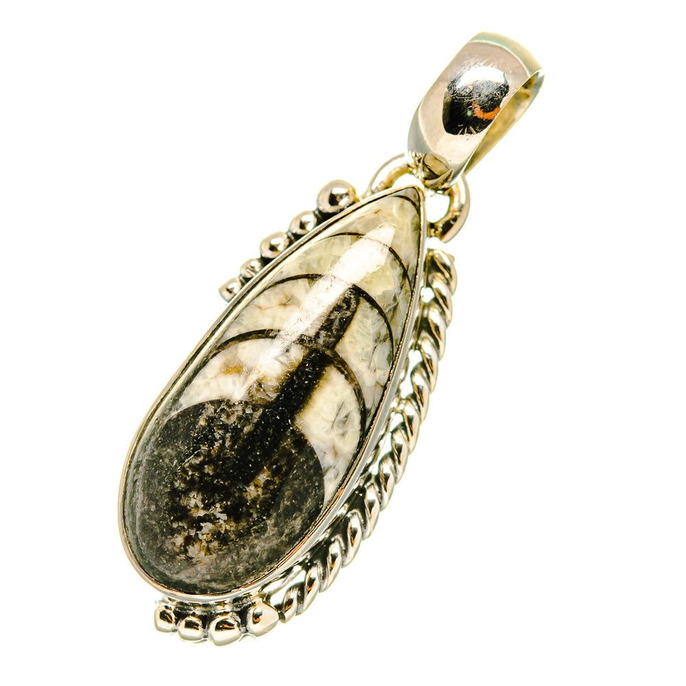 Orthoceras Fossil Pendants handcrafted by Anasilvercos - PD4701