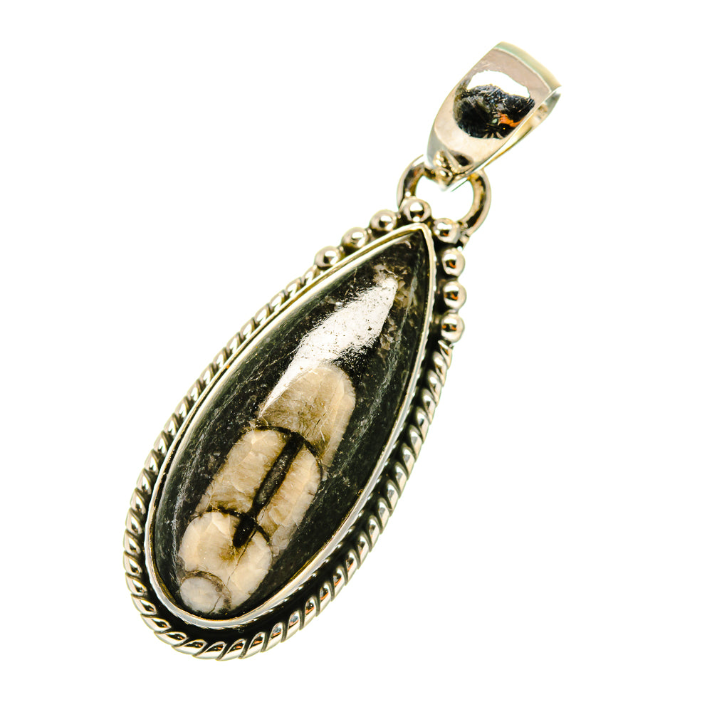 Orthoceras Fossil Pendants handcrafted by Anasilvercos - PD4704