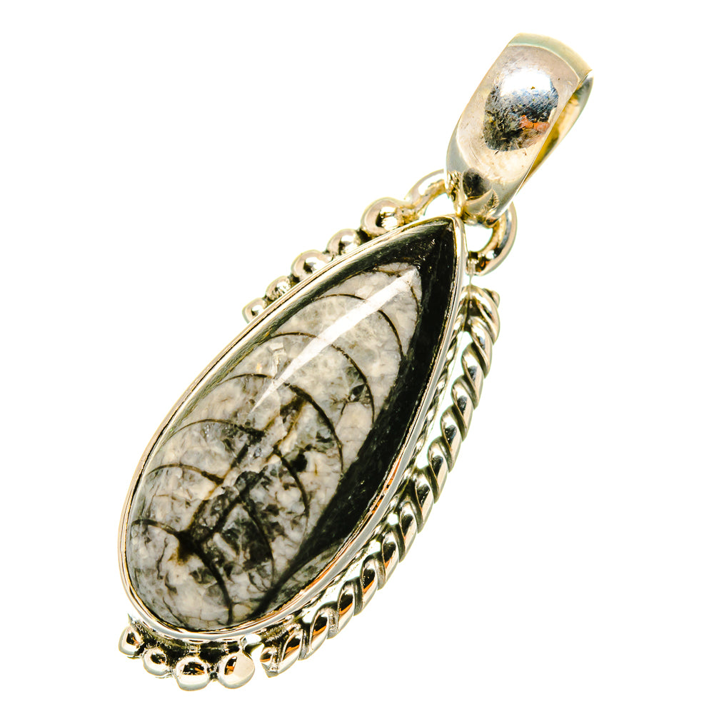 Orthoceras Fossil Pendants handcrafted by Anasilvercos - PD4848