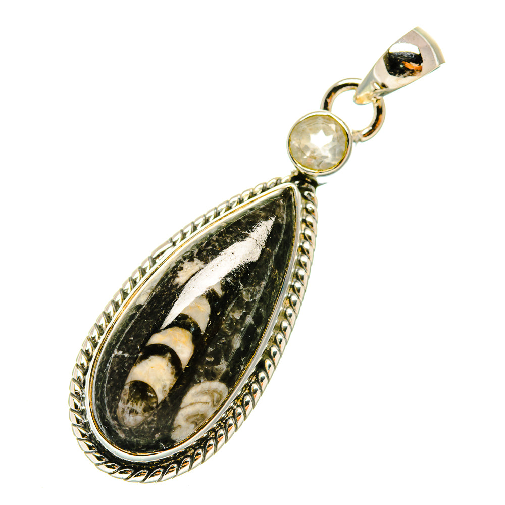 Orthoceras Fossil Pendants handcrafted by Anasilvercos - PD4893