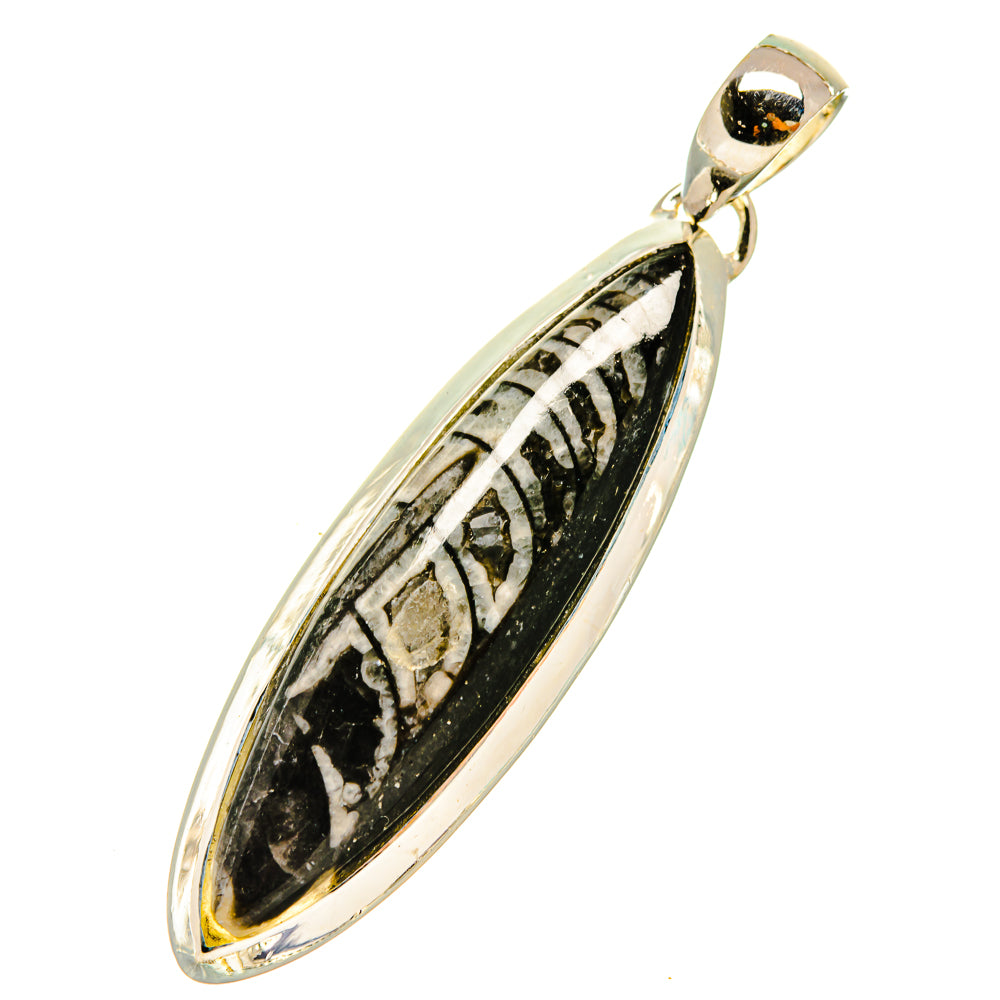 Orthoceras Fossil Pendants handcrafted by Anasilvercos - PD5188