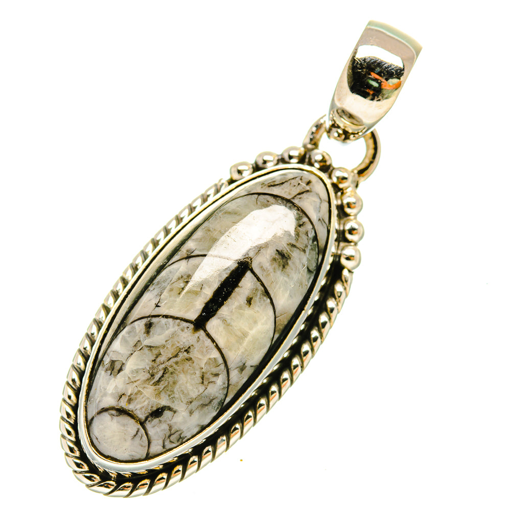 Orthoceras Fossil Pendants handcrafted by Anasilvercos - PD5431