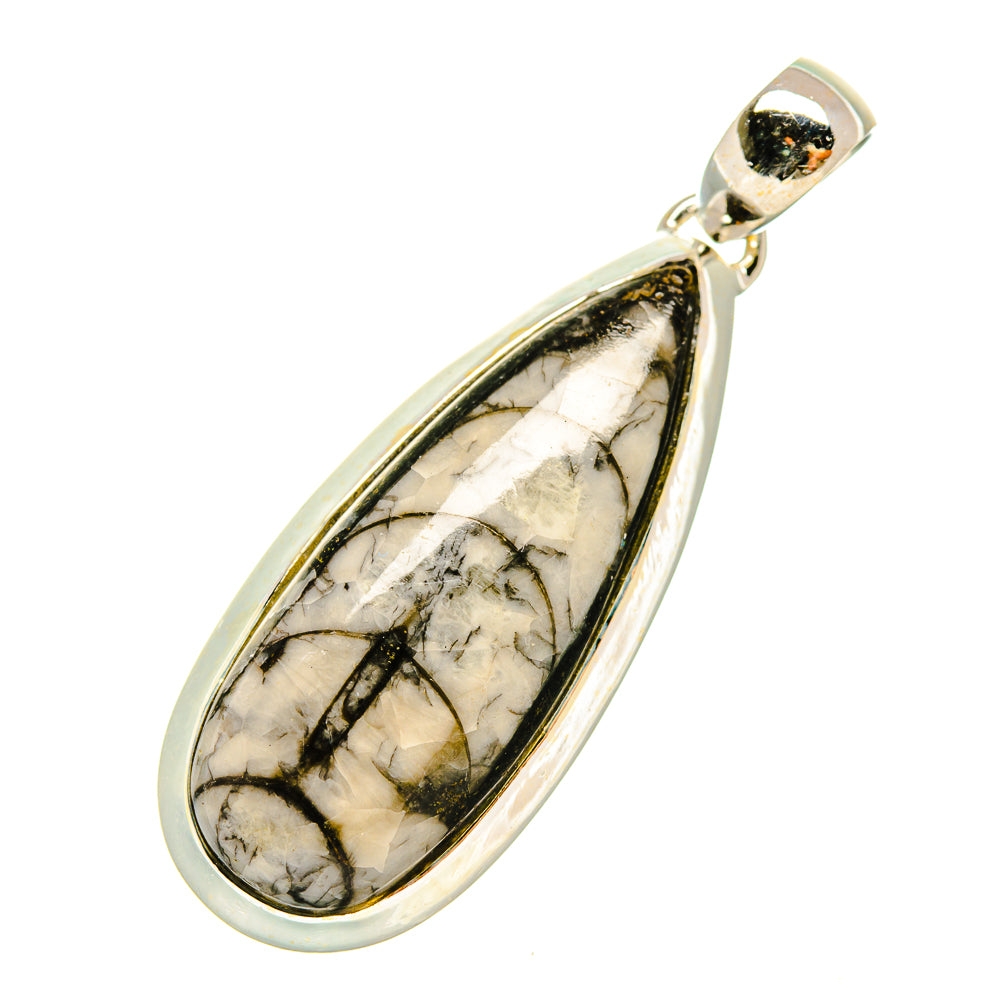 Orthoceras Fossil Pendants handcrafted by Anasilvercos - PD6062