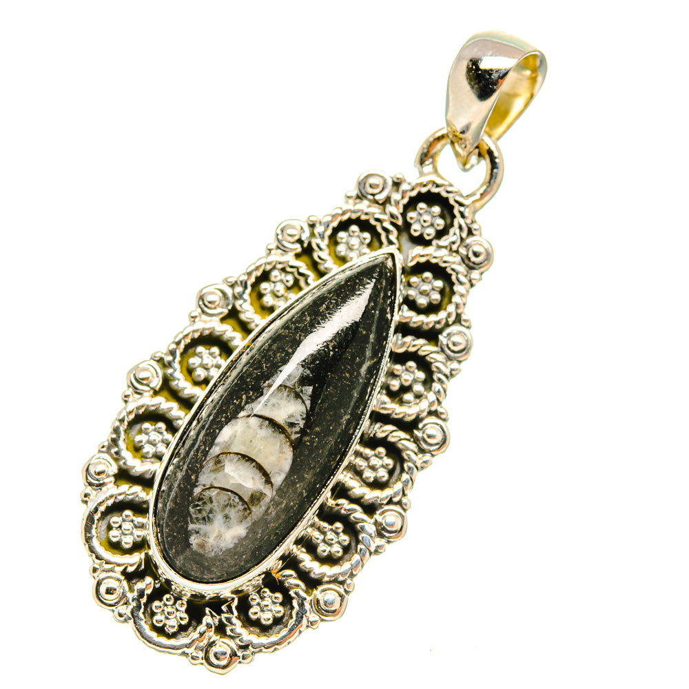 Orthoceras Fossil Pendants handcrafted by Anasilvercos - PD6507