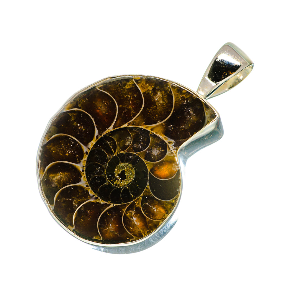 Ammonite Fossil Pendants handcrafted by Anasilvercos - PD734746