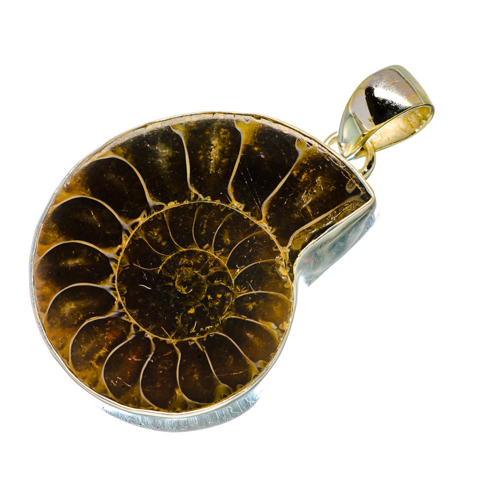 Ammonite Fossil Pendants handcrafted by Anasilvercos - PD735032