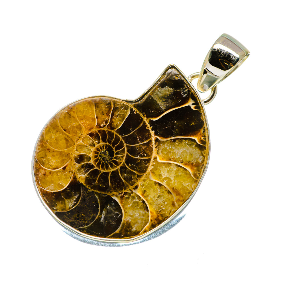 Ammonite Fossil Pendants handcrafted by Anasilvercos - PD735033