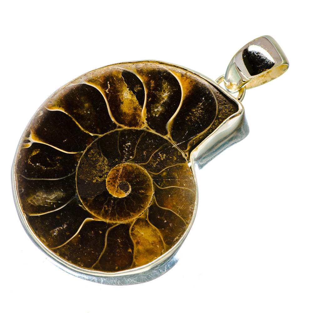 Ammonite Fossil Pendants handcrafted by Anasilvercos - PD735491
