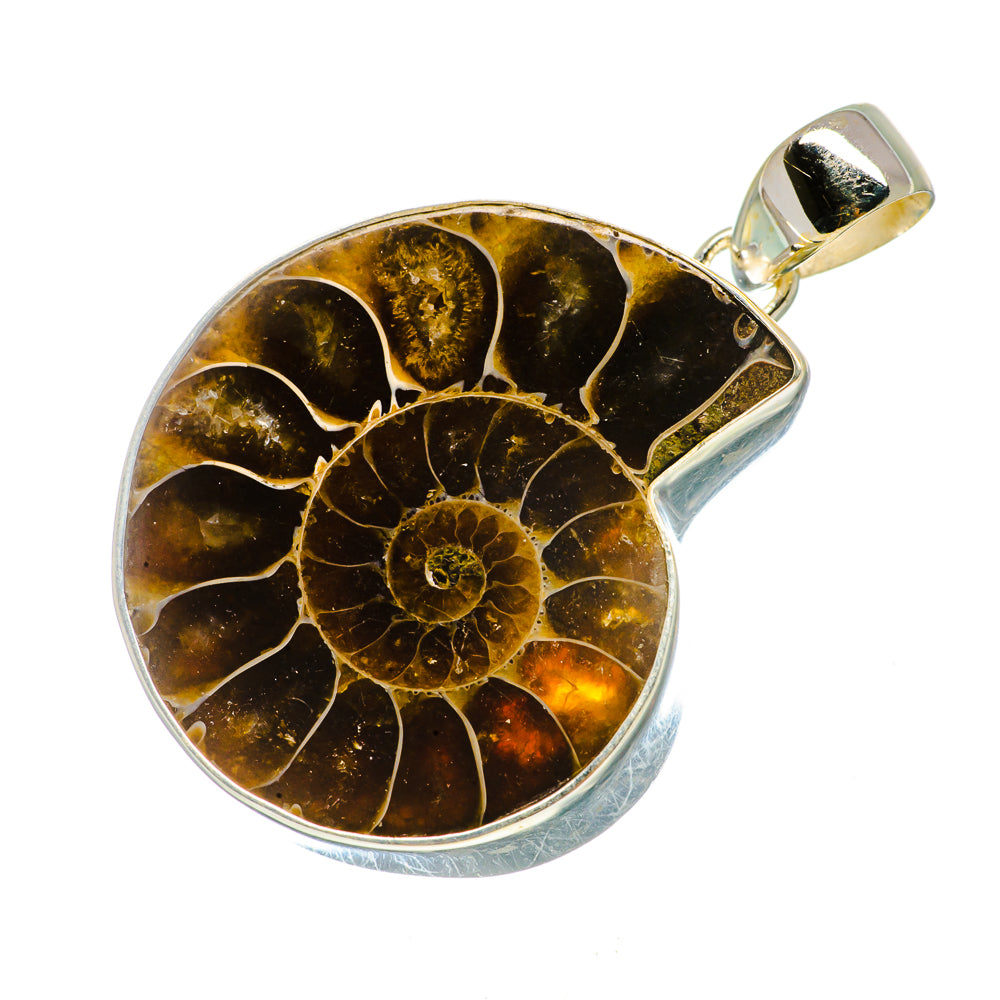 Ammonite Fossil Pendants handcrafted by Anasilvercos - PD735924