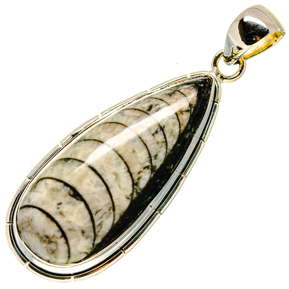 Orthoceras Fossil Pendants handcrafted by Anasilvercos - PD737763