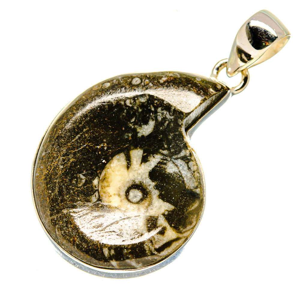 Orthoceras Fossil Pendants handcrafted by Anasilvercos - PD739436