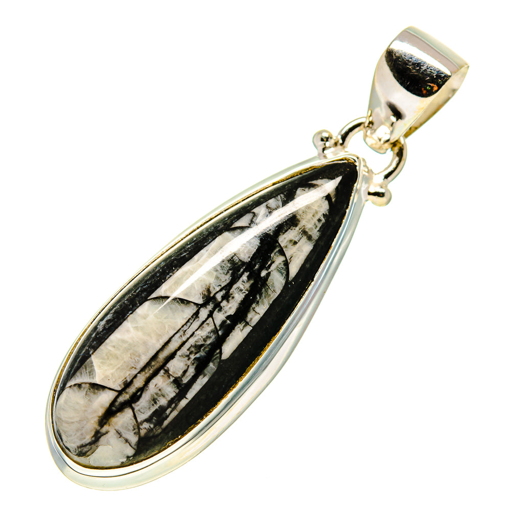 Orthoceras Fossil Pendants handcrafted by Anasilvercos - PD744016