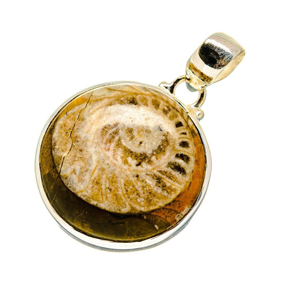 Orthoceras Fossil Pendants handcrafted by Anasilvercos - PD744241