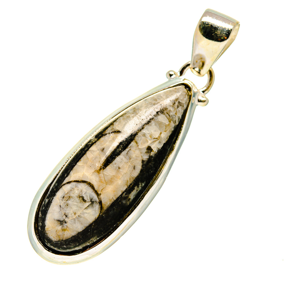 Orthoceras Fossil Pendants handcrafted by Anasilvercos - PD744541