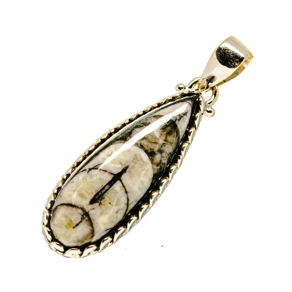 Orthoceras Fossil Pendants handcrafted by Anasilvercos - PD745153