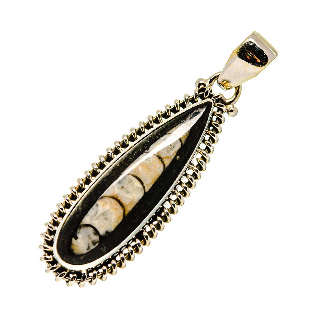 Orthoceras Fossil Pendants handcrafted by Anasilvercos - PD745207
