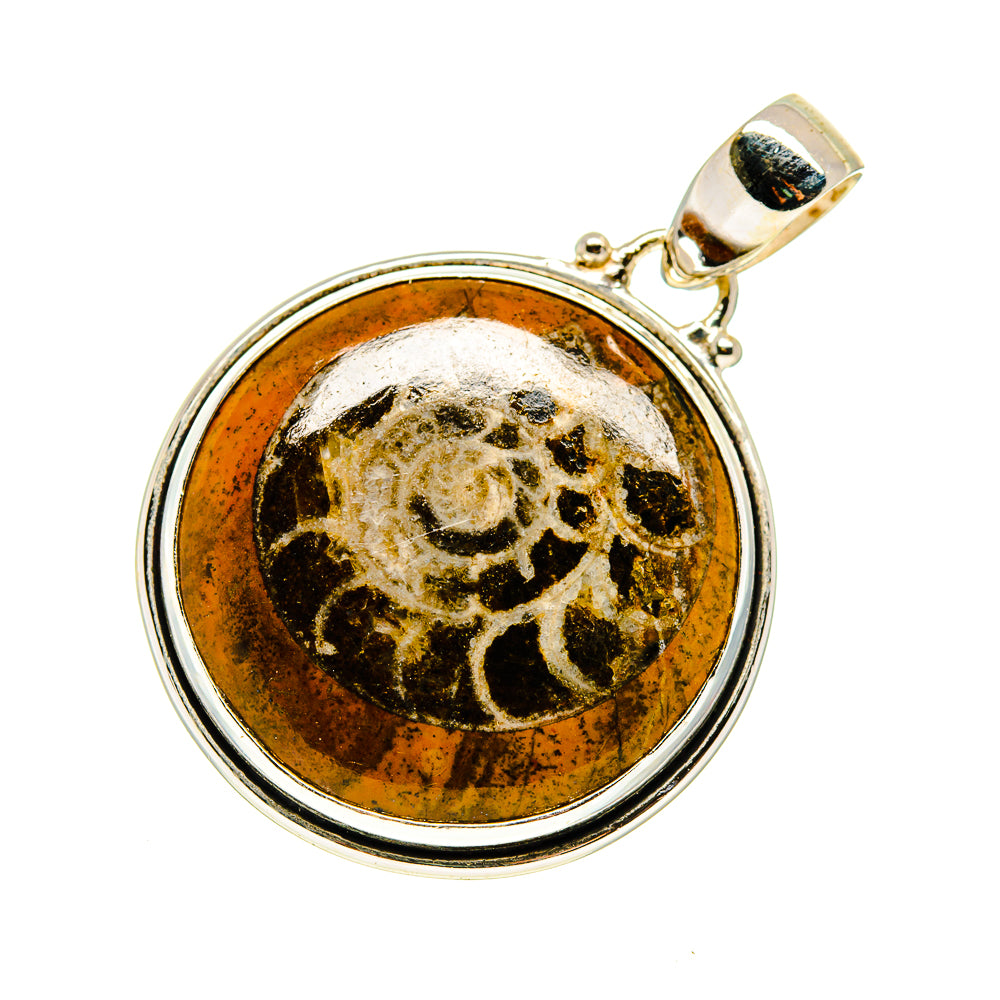 Orthoceras Fossil Pendants handcrafted by Anasilvercos - PD745235