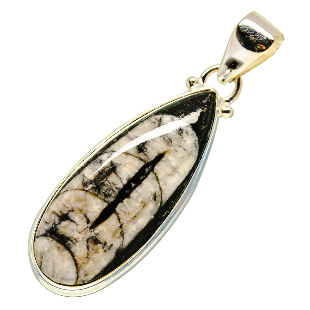 Orthoceras Fossil Pendants handcrafted by Anasilvercos - PD745353