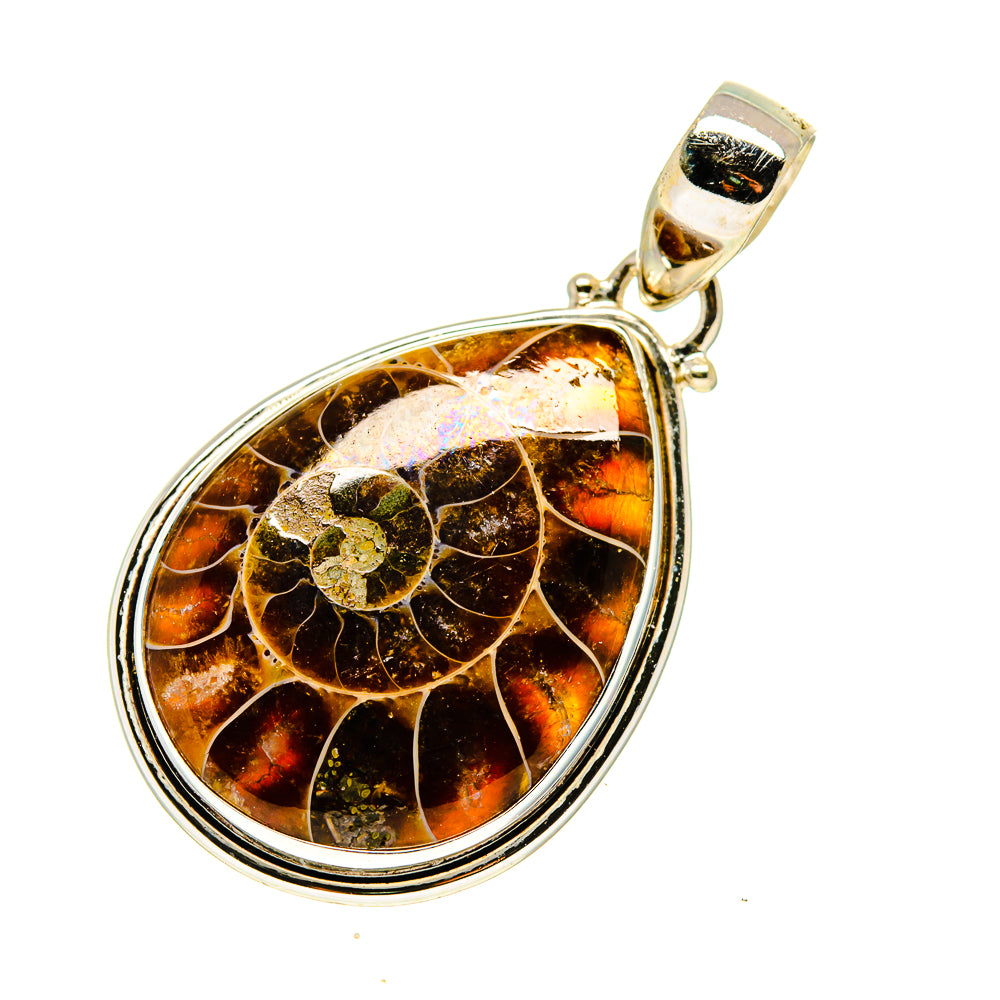 Ammonite Fossil Pendants handcrafted by Anasilvercos - PD745569