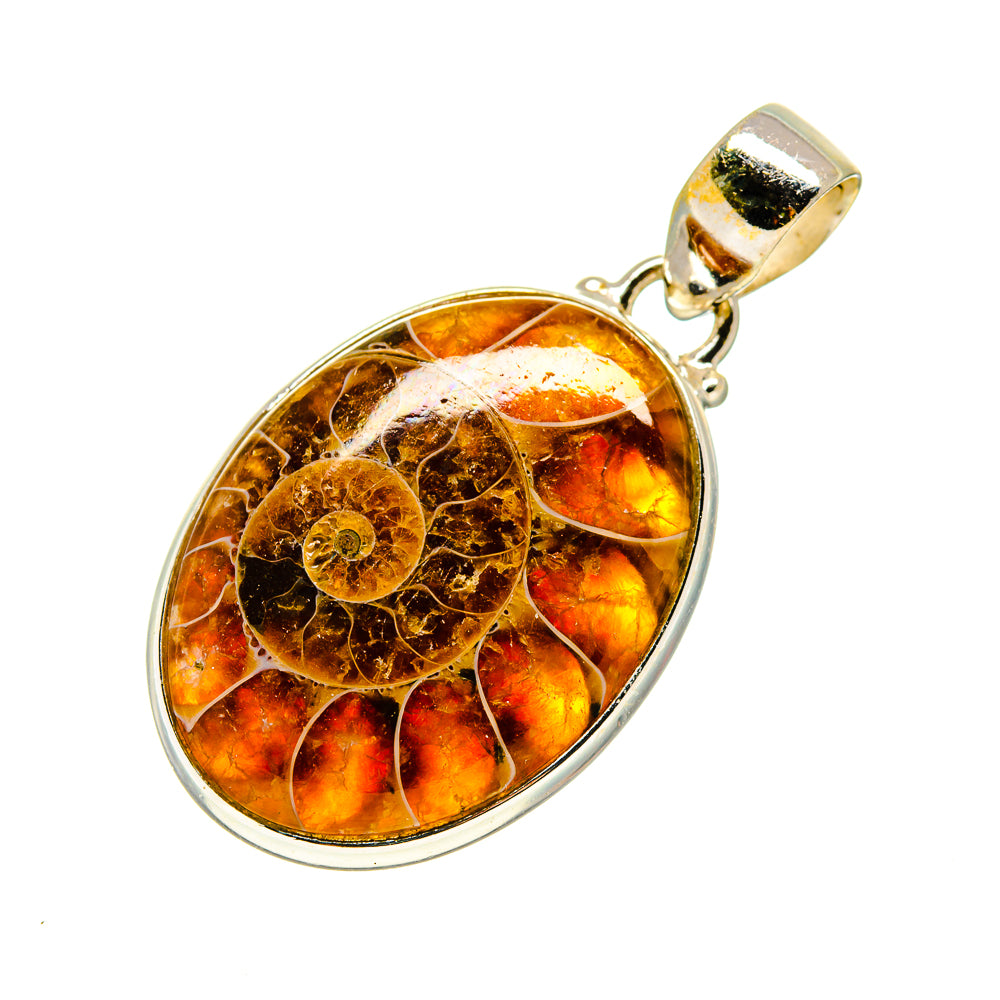 Ammonite Fossil Pendants handcrafted by Anasilvercos - PD745595
