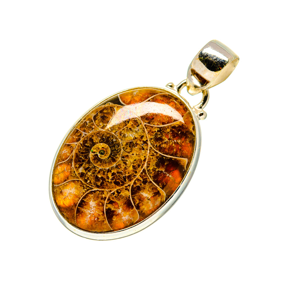 Ammonite Fossil Pendants handcrafted by Anasilvercos - PD745693