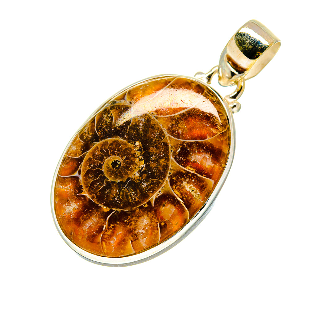 Ammonite Fossil Pendants handcrafted by Anasilvercos - PD745702