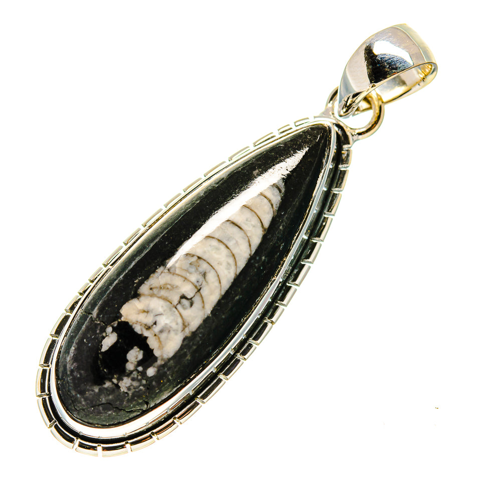 Orthoceras Fossil Pendants handcrafted by Anasilvercos - PD746207