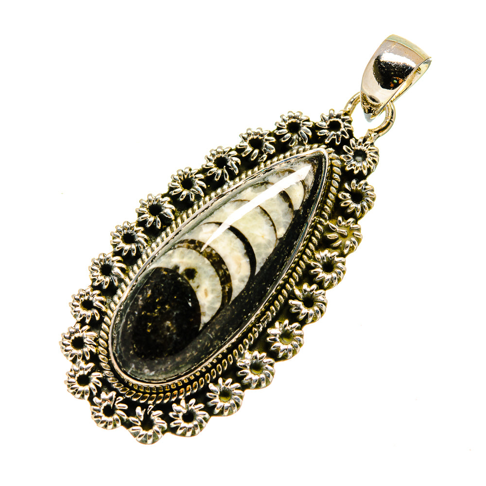 Orthoceras Fossil Pendants handcrafted by Anasilvercos - PD746574