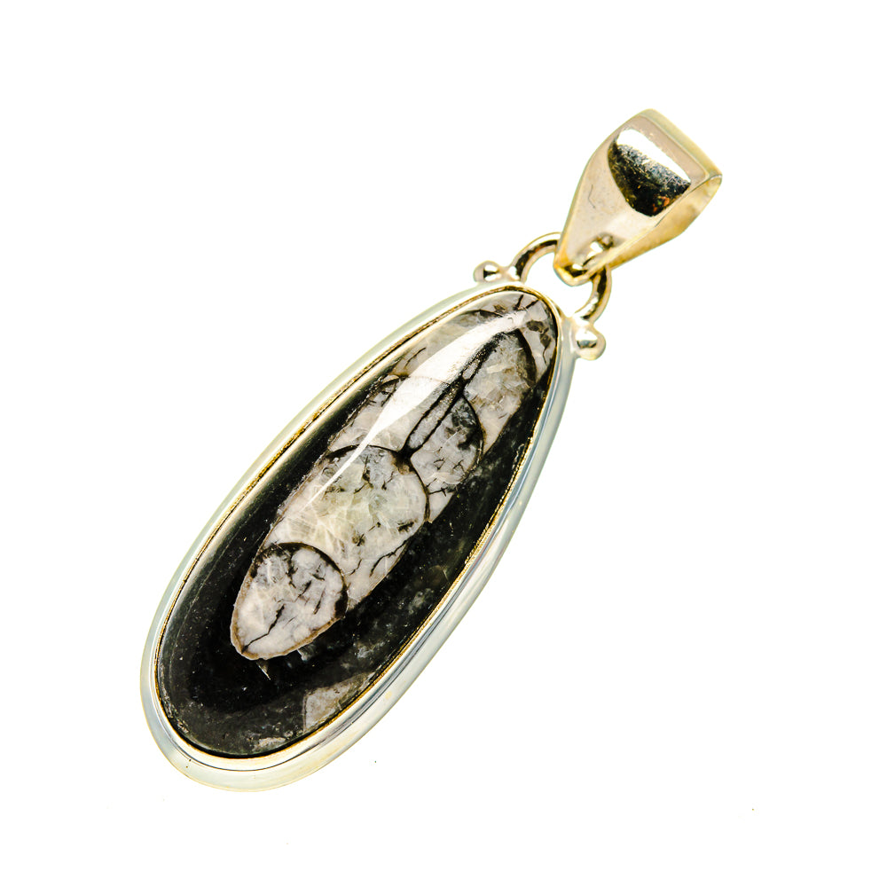 Orthoceras Fossil Pendants handcrafted by Anasilvercos - PD746773