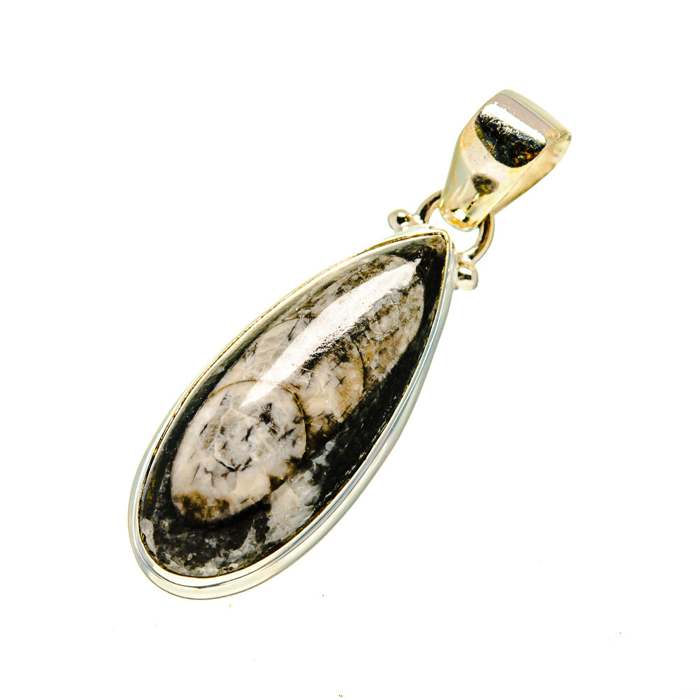 Orthoceras Fossil Pendants handcrafted by Anasilvercos - PD746774