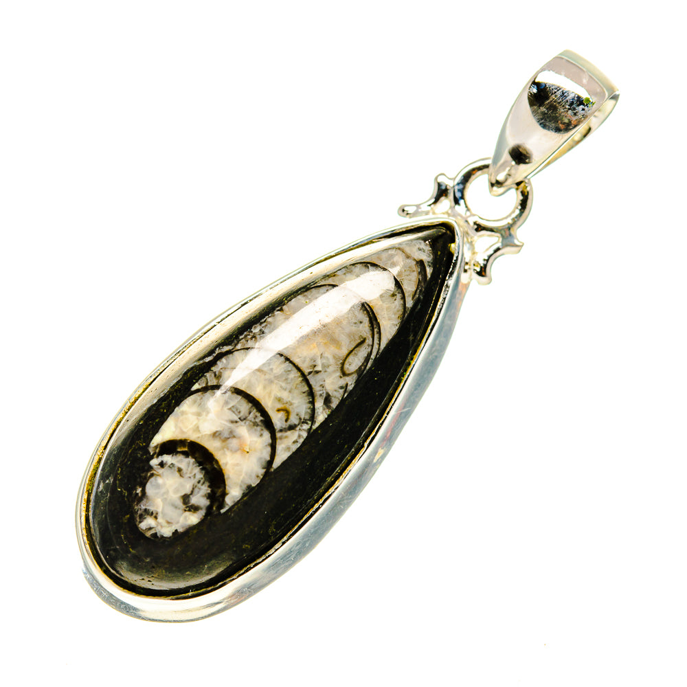 Orthoceras Fossil Pendants handcrafted by Anasilvercos - PD746824