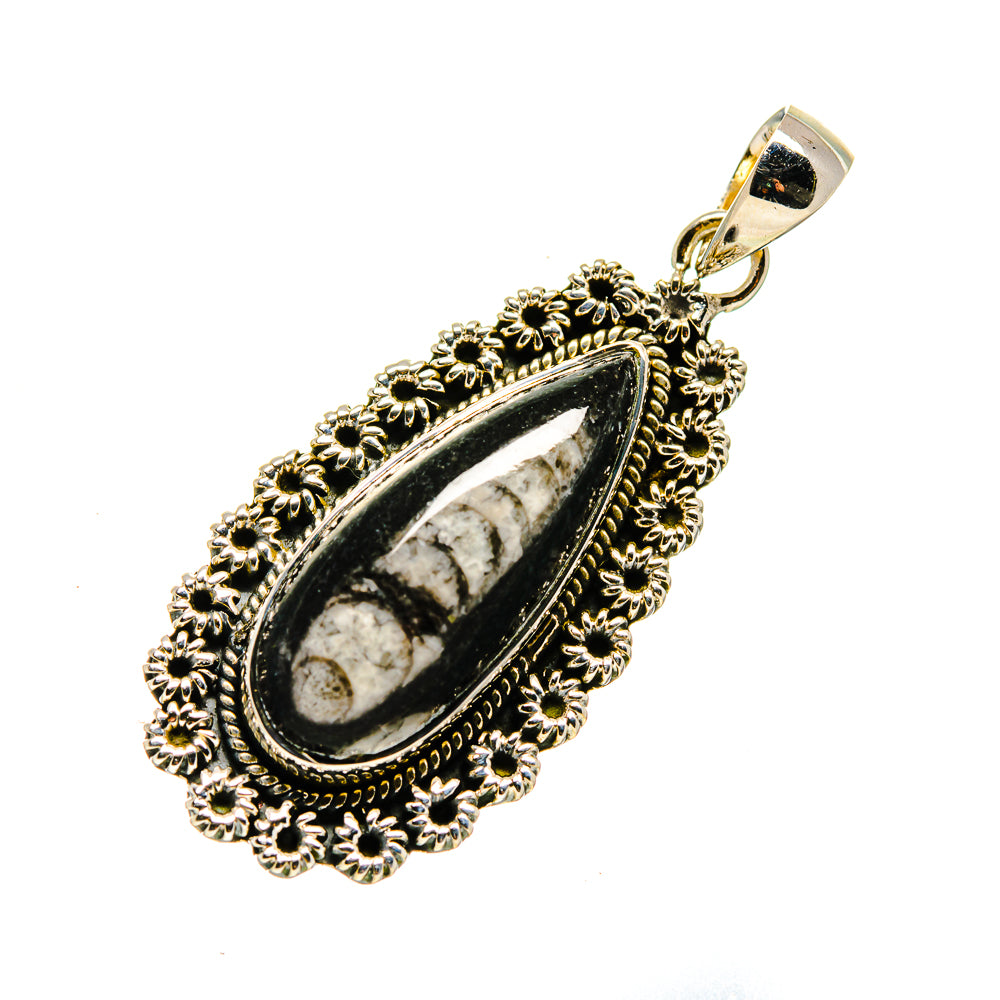 Orthoceras Fossil Pendants handcrafted by Anasilvercos - PD746913