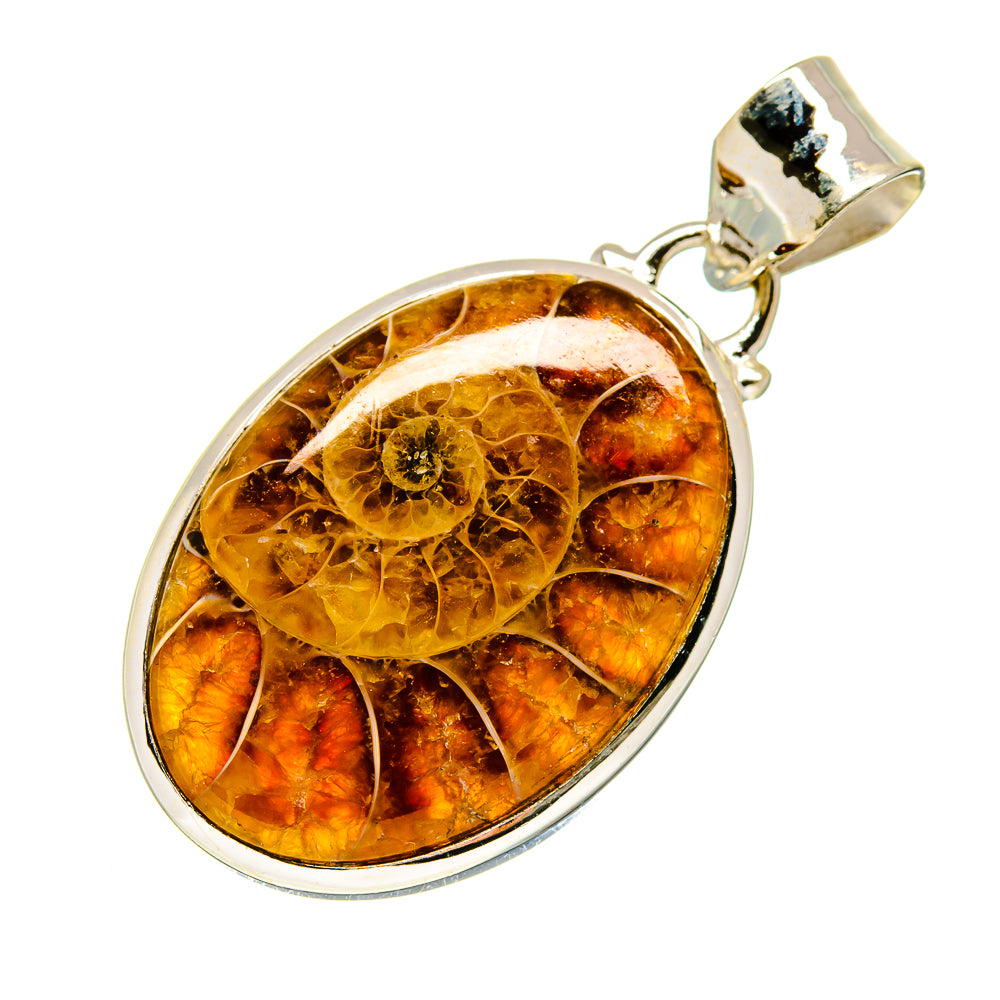 Ammonite Fossil Pendants handcrafted by Anasilvercos - PD747762