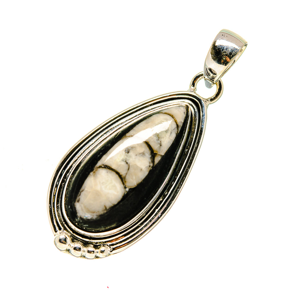 Orthoceras Fossil Pendants handcrafted by Anasilvercos - PD748164