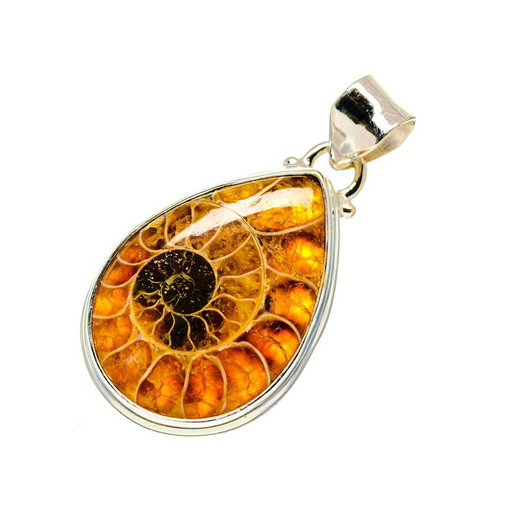 Ammonite Fossil Pendants handcrafted by Anasilvercos - PD749079