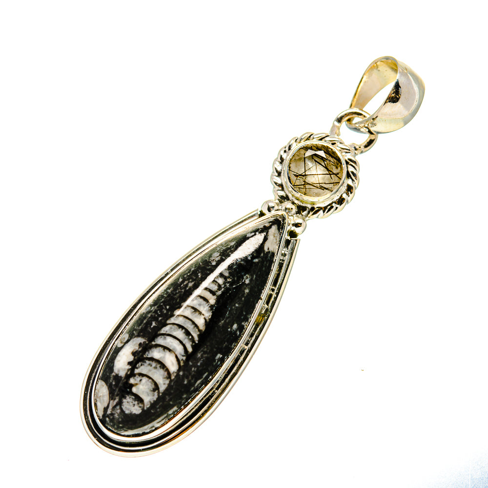 Orthoceras Fossil Pendants handcrafted by Anasilvercos - PD750603